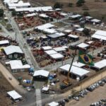 Sealba Alagoinhas 2026 vai reunir produtores de sete estados no interior da Bahia