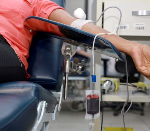 Imagem do post Carnaval 2026: captação de sangue na Bahia sobe mais de 300%