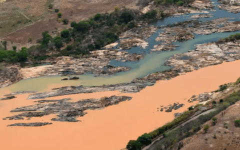 Imagem do post BNDES repassa recursos do Fundo Rio Doce para saúde