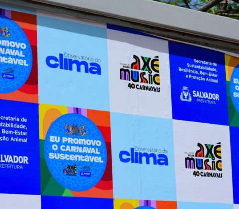Imagem do post Salvador lança site que coloca meio ambiente no centro da folia