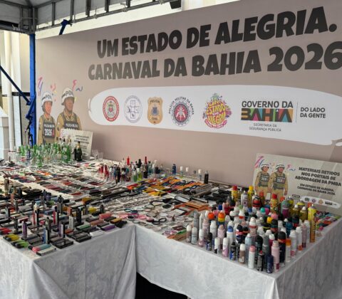 Imagem do post PM evita a entrada de quase 7 mil objetos proibidos nos portais