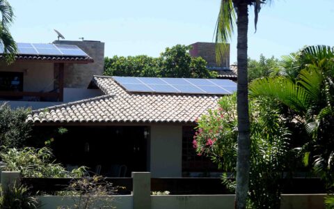 Imagem do post IPTU Verde dispara em Salvador e cidade se consolida como referência em sustentabilidade urbana