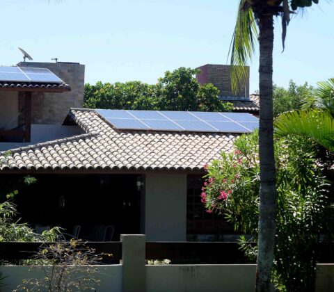 Imagem do post IPTU Verde dispara em Salvador e cidade se consolida como referência em sustentabilidade urbana