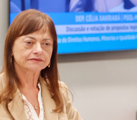 Imagem do post Comissão de Direitos Humanos aprova nota de repúdio após absolvição em caso de estupro de vulnerável