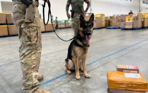 Imagem do post Homem é preso com drogas e munições ao retirar encomenda nos Correios