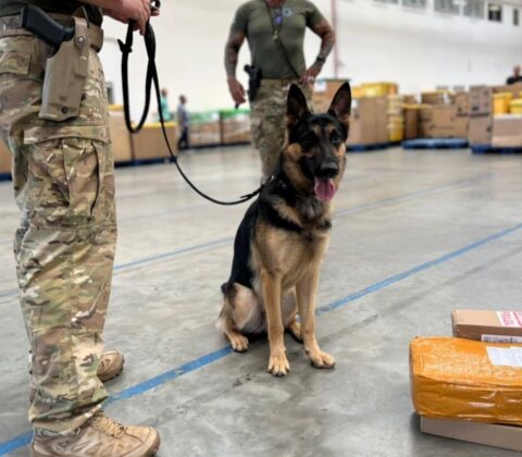 Imagem do post Homem é preso com drogas e munições ao retirar encomenda nos Correios