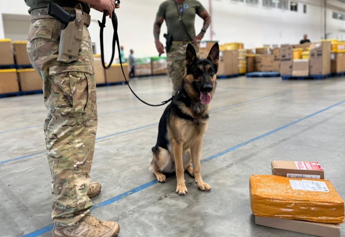 Homem é preso com drogas e munições ao retirar encomenda nos Correios
