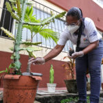 Campanha Verão Sem Mosquito inicia vistorias em condomínios de Salvador; confira cronograma