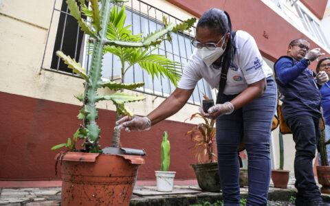 Imagem do post Campanha Verão Sem Mosquito inicia vistorias em condomínios de Salvador; confira cronograma
