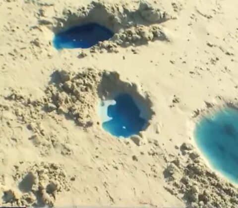 Imagem do post Inema interdita empresa após praia ser contaminada com nitrato e cobre em Salvador