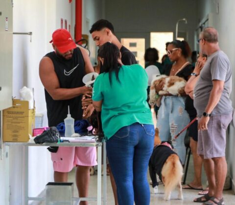 Imagem do post Hospital Público Veterinário de Salvador completa dois anos com mais de 337 mil atendimentos