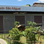 Salvador realiza Maratona Empreendedora voltada para mulheres nesta quinta (19)