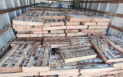 Imagem do post Polícia apreende 9 toneladas de pescado irregular na BR-116 em Milagres