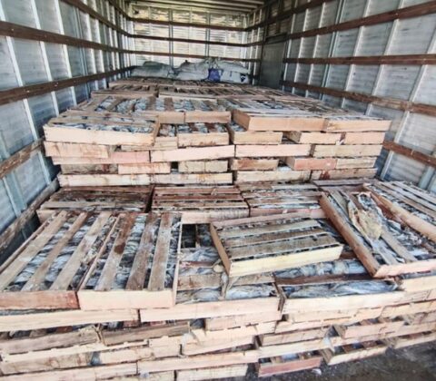 Imagem do post Polícia apreende 9 toneladas de pescado irregular na BR-116 em Milagres