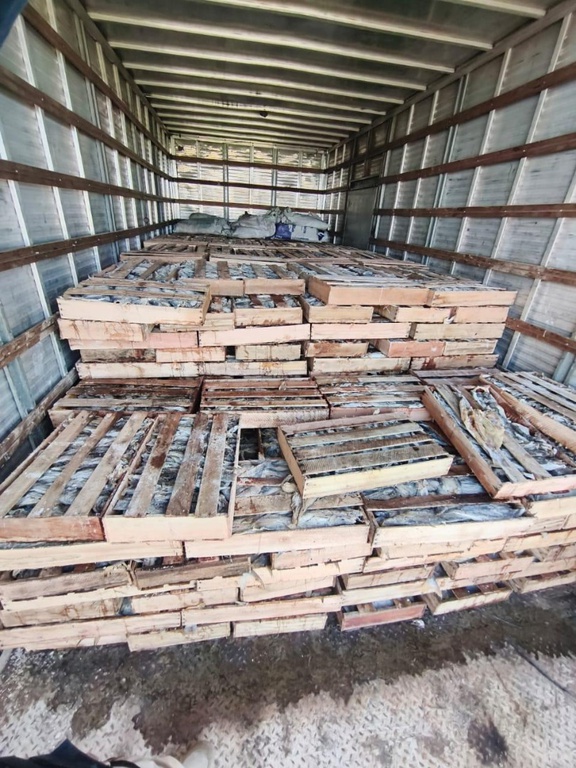 Polícia apreende 9 toneladas de pescado irregular na BR-116 em Milagres