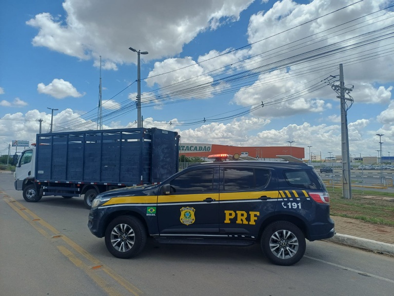 PRF retira animais da BR-407 para evitar acidentes graves