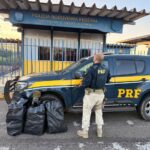 Fuga termina em acidente e apreensão de 30 kg de maconha