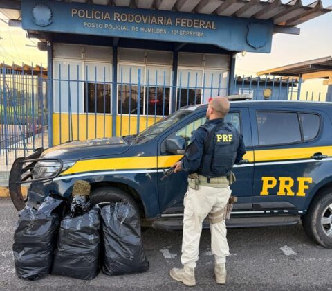 Imagem do post Fuga termina em acidente e apreensão de 30 kg de maconha