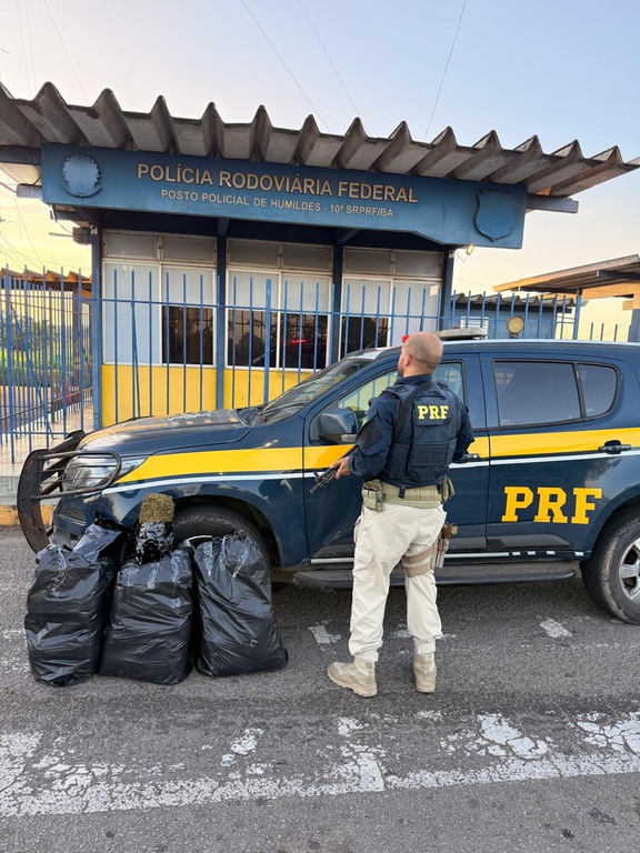 Fuga termina em acidente e apreensão de 30 kg de maconha