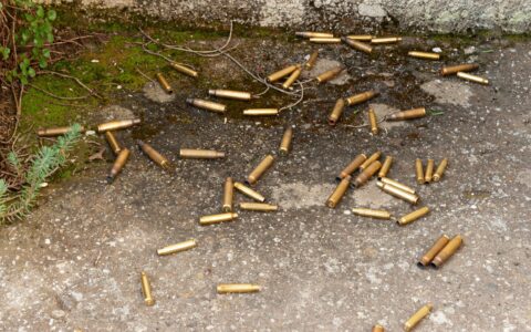 Imagem do post Foi de rajada! Casa de cantora famosa é alvo de ataque a tiros