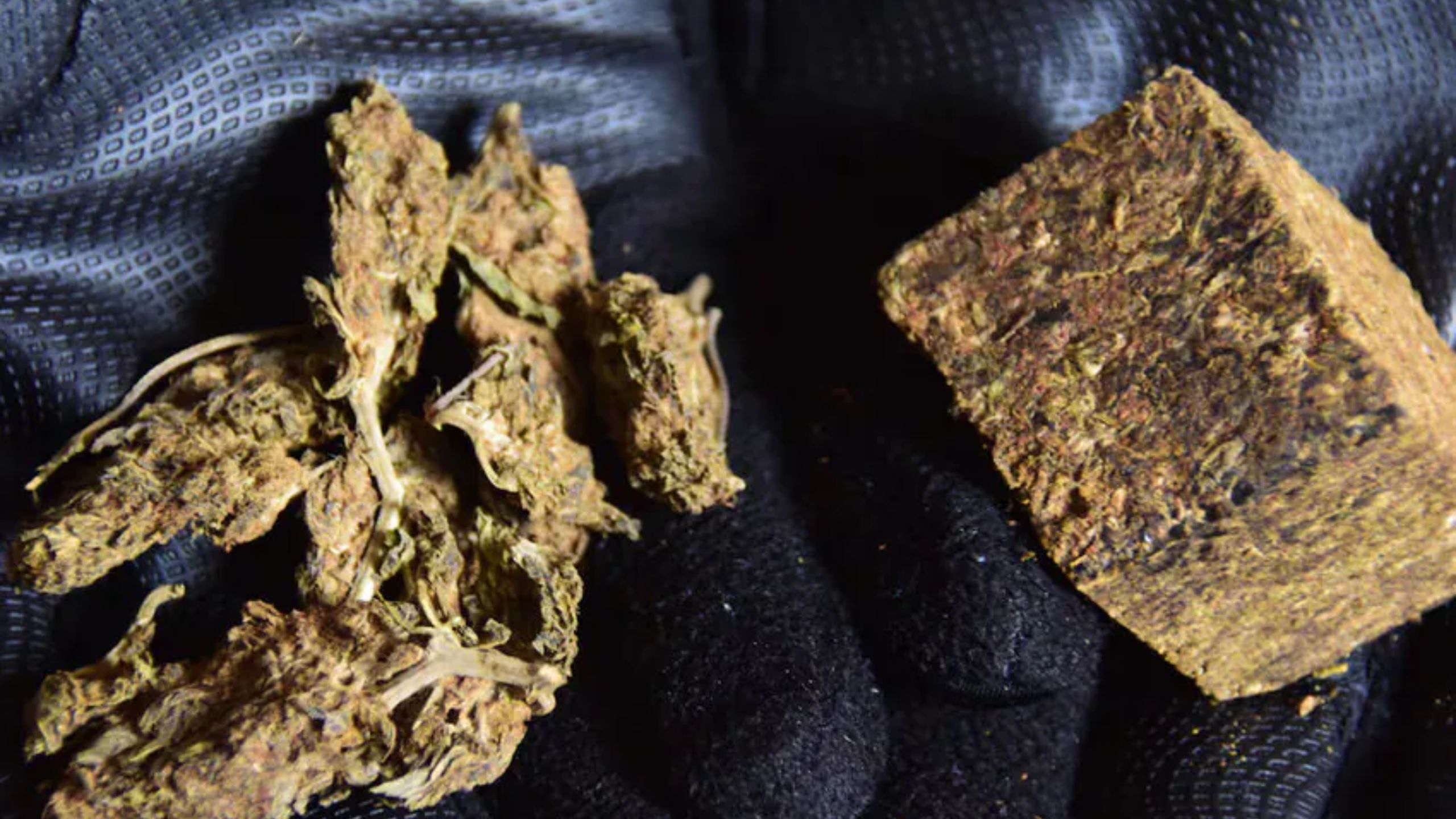 Cantor famoso é detido com maconha no aeroporto; saiba quem é