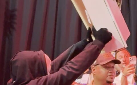 Imagem do post Davi Brito provoca Bambam ao levar caixão para coletiva de luta; assista