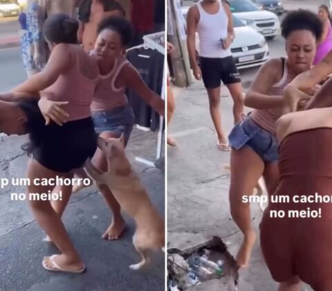 Imagem do post VÍDEO: Blogueira baiana agride ex-amiga após termino de amizade
