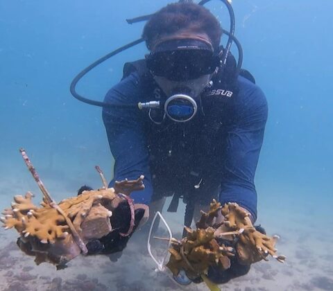 Imagem do post Iniciativas da Braskem contra efeitos das mudanças climáticas reduzem 30,2 mil toneladas de CO₂ em um ano