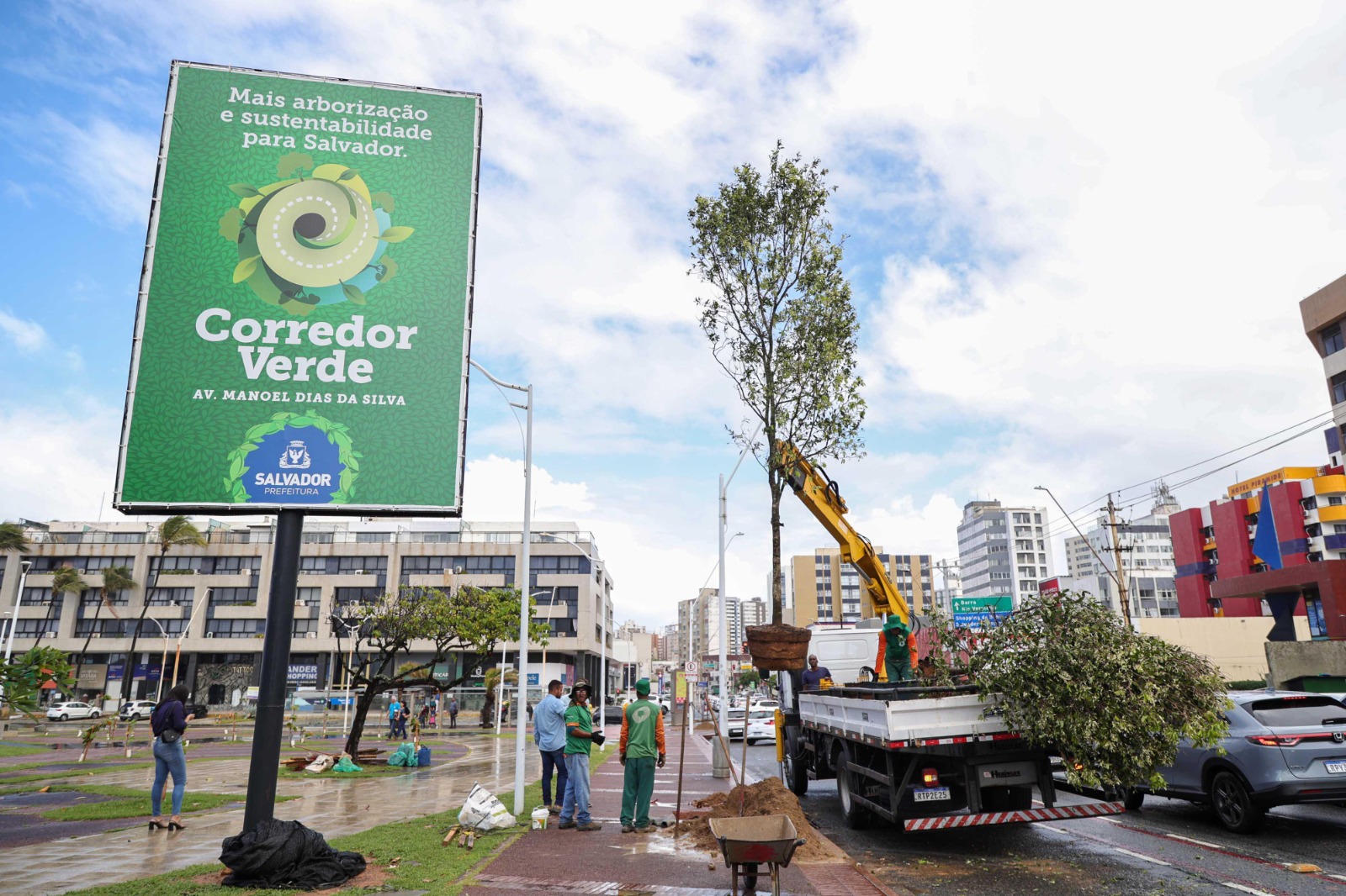 Salvador passa a integrar rede global de cidades reconhecidas por gestão de arborização urbana
