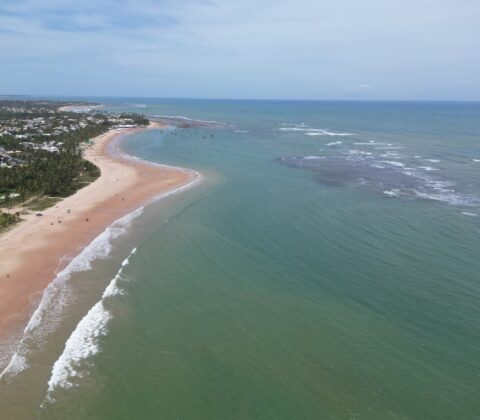 Imagem do post Sedur realiza ação de proteção de ninhos de tartarugas em Guarajuba