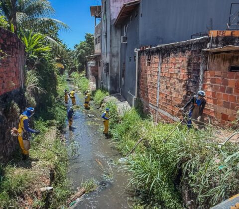 Imagem do post Prefeitura de Lauro de Freitas intensifica limpeza do canal do Rio Goró com equipe reforçada