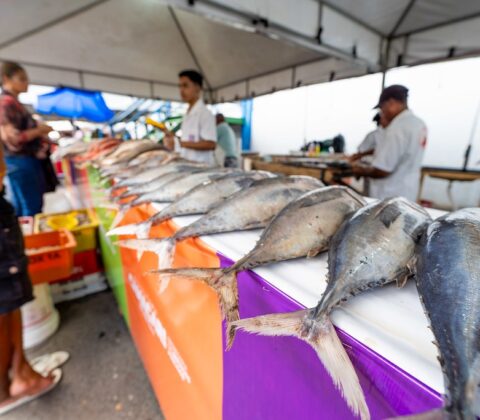 Imagem do post Feira do Peixe em Camaçari já tem data e promete movimentar o comércio