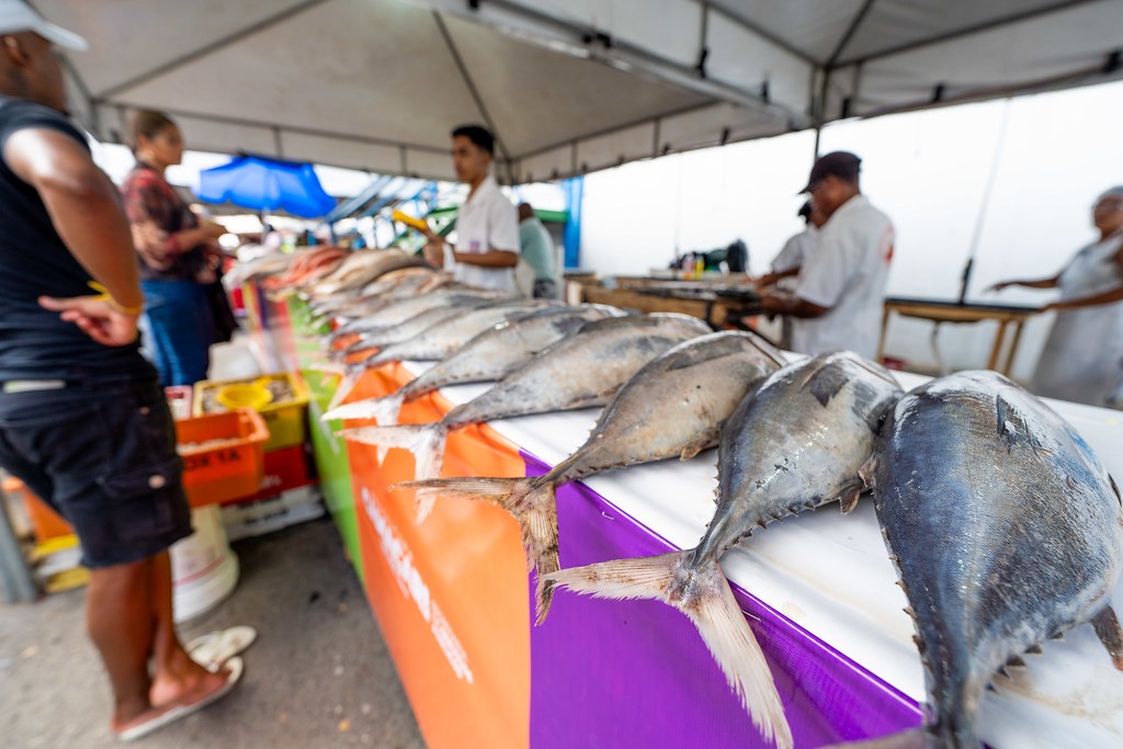 Feira do Peixe em Camaçari já tem data e promete movimentar o comércio