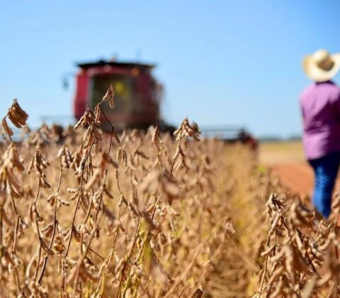 Imagem do post Garantia-Safra começa a ser pago e injeta quase R$ 2 milhões na economia de Correntina