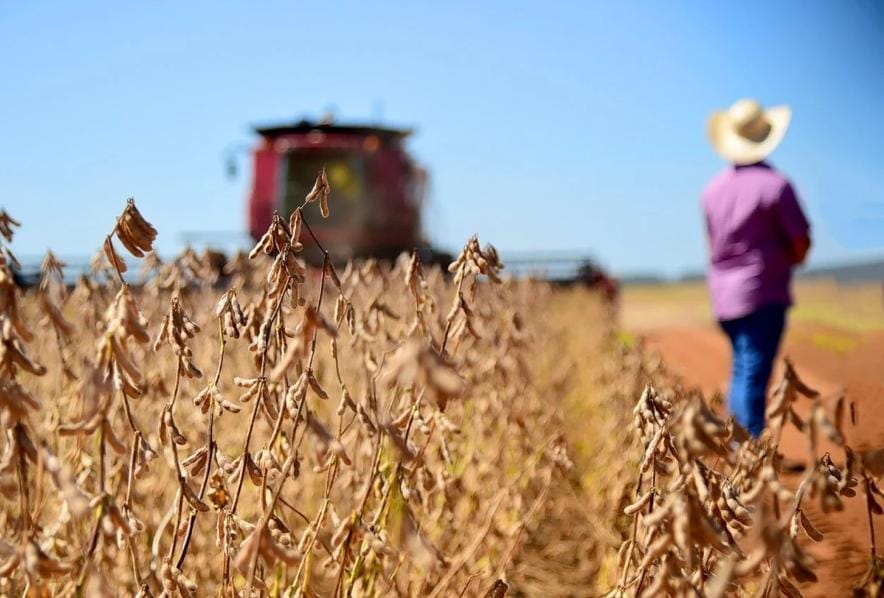 Garantia-Safra começa a ser pago e injeta quase R$ 2 milhões na economia de Correntina