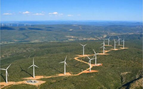 Imagem do post Bahia dispara na liderança da energia limpa e atrai bilhões em investimentos