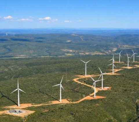 Imagem do post Bahia dispara na liderança da energia limpa e atrai bilhões em investimentos