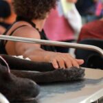 Hospital Veterinário Público de Salvador atinge marca impressionante em 2 anos e conquista reconhecimento da população