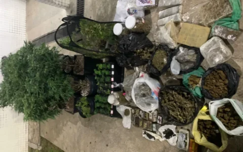 Imagem do post Laboratório de drogas é desmontado pela Rondesp durante operação