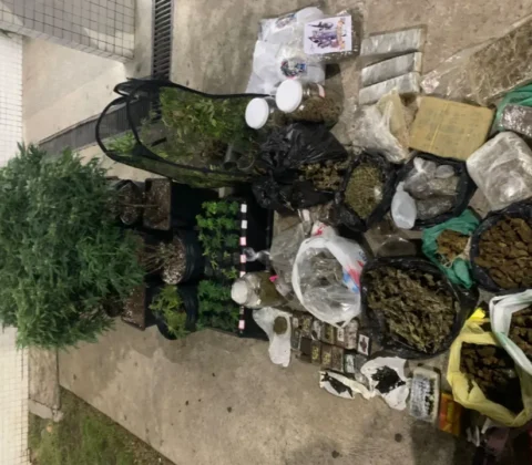 Imagem do post Laboratório de drogas é desmontado pela Rondesp durante operação