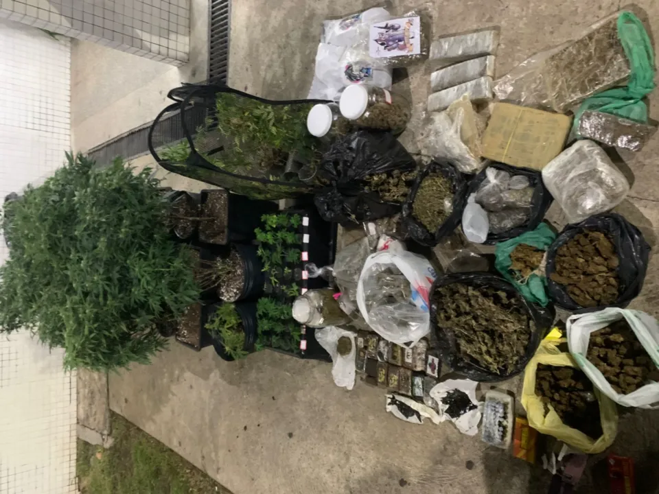 Laboratório de drogas é desmontado pela Rondesp durante operação