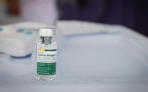 Imagem do post Vacina brasileira contra dengue mantém proteção por pelo menos cinco anos, diz estudo