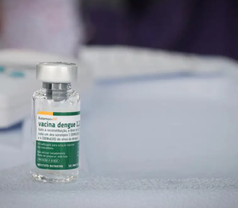 Imagem do post Vacina brasileira contra dengue mantém proteção por pelo menos cinco anos, diz estudo