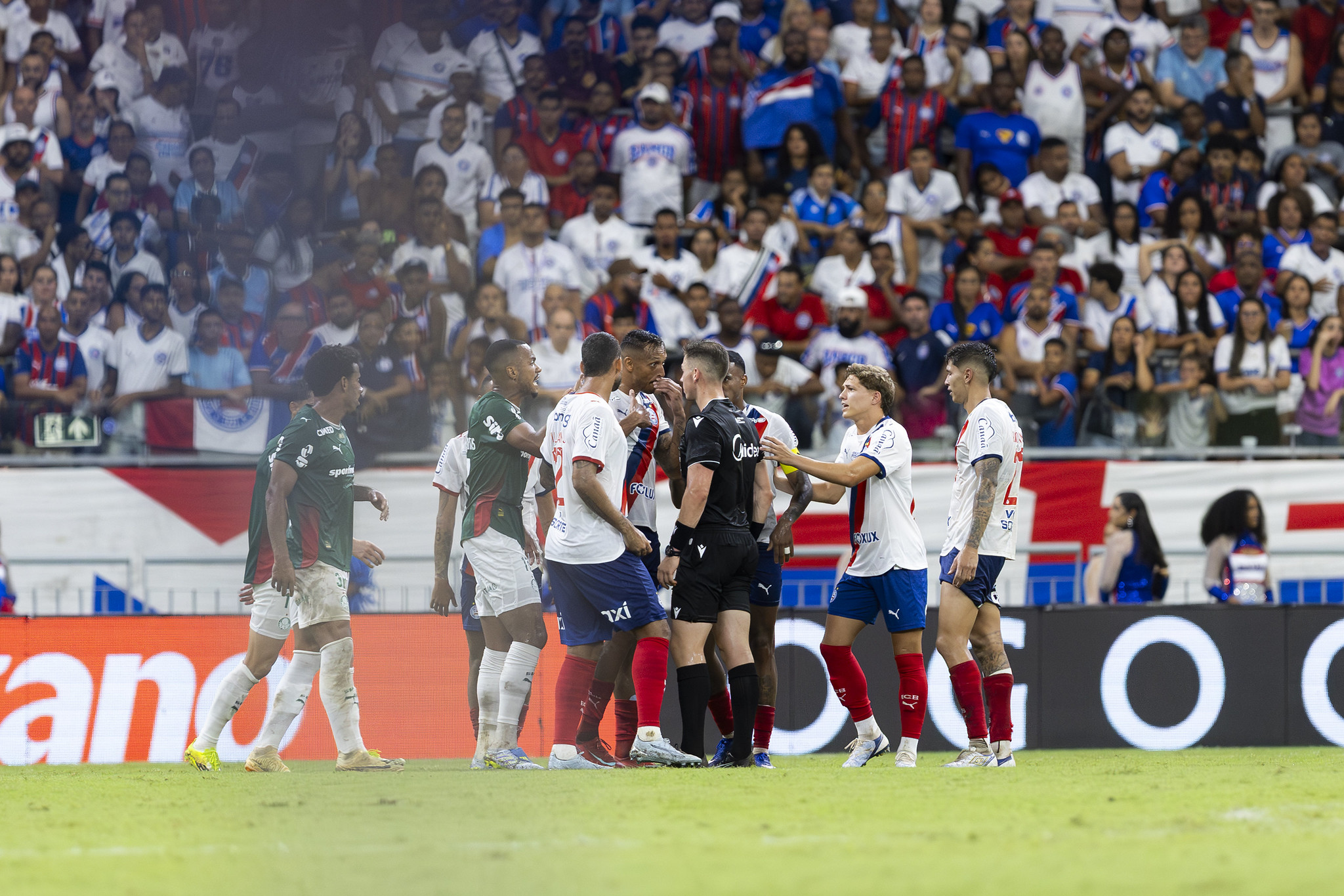 Bahia x Palmeiras: Ceni, jogador e diretor do Bahia são denunciados após polêmica