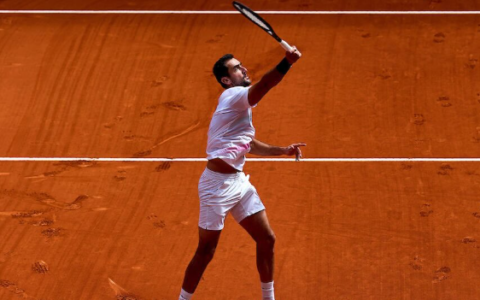 Imagem do post O que aconteceu com Cilic? Saiba motivo que ajudou Fonseca