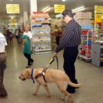 Projeto de lei garante acesso de PCDs acompanhados de cães de assistência em Salvador