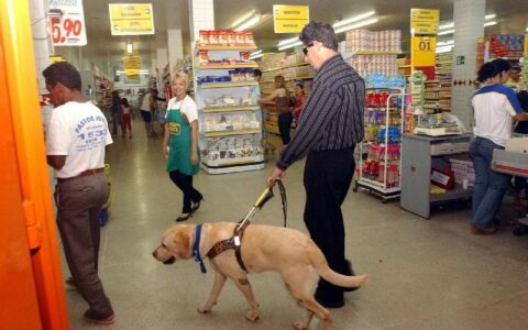 Imagem do post Projeto de lei garante acesso de PCDs acompanhados de cães de assistência em Salvador