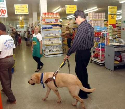 Imagem do post Projeto de lei garante acesso de PCDs acompanhados de cães de assistência em Salvador