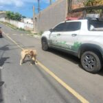 SUPPA muda de nome e função em Lauro de Freitas; veja o que muda