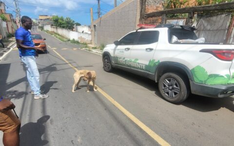 Imagem do post SUPPA muda de nome e função em Lauro de Freitas; veja o que muda